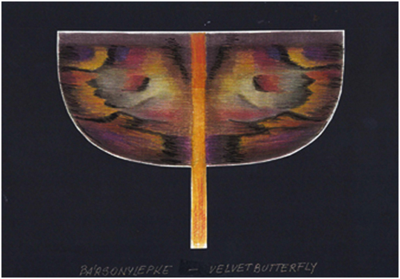 Samtfalter   /   B&aacute;rsonylepke   /   Fluture de catifea   /   Velvet Butterfly